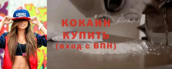 стафф Алексин