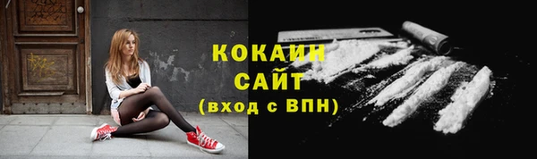стафф Алексин