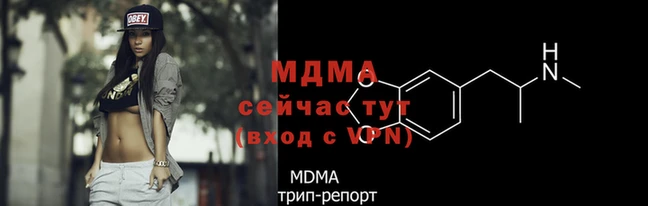 стафф Алексин