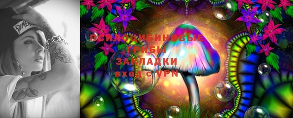 стафф Алексин