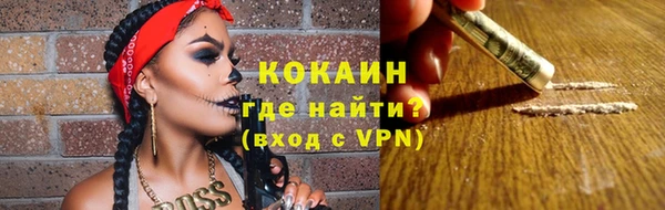 стафф Алексин