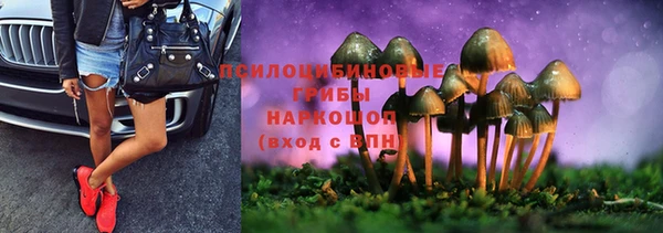 стафф Алексеевка