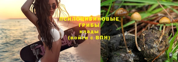 СК Переславль-Залесский