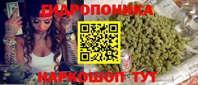 твердый Краснознаменск