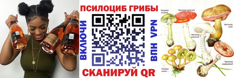 наркошоп  Ипатово  Галлюциногенные грибы Psilocybine cubensis 