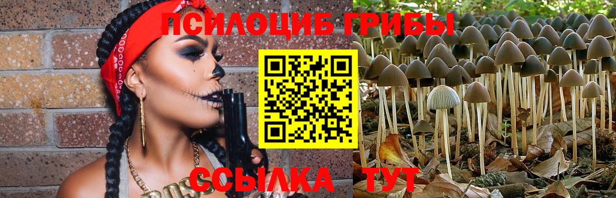 Галлюциногенные грибы прущие грибы Ипатово