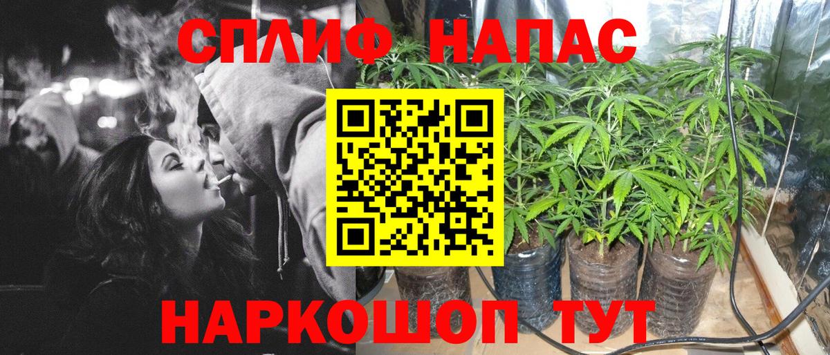 Бошки марихуана план Ипатово